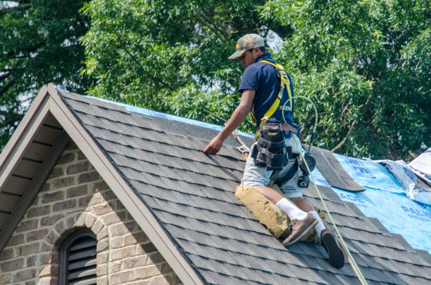 Roof Gutter Cleaning in East Port Orchard, WA